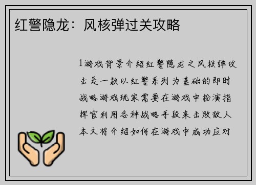 红警隐龙：风核弹过关攻略